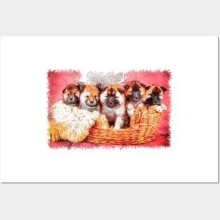 Adorable Pomerian breed puppies. Baby, cute and furry puppies in minbre basket Posters and Art